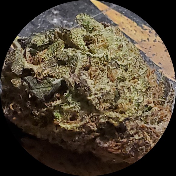 jag420